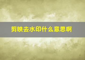 剪映去水印什么意思啊