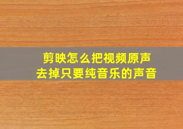 剪映怎么把视频原声去掉只要纯音乐的声音