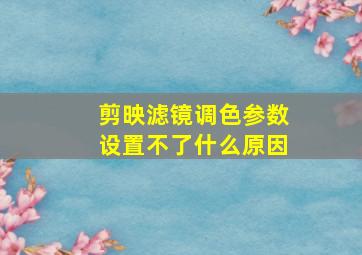 剪映滤镜调色参数设置不了什么原因