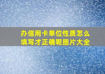 办信用卡单位性质怎么填写才正确呢图片大全