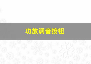 功放调音按钮