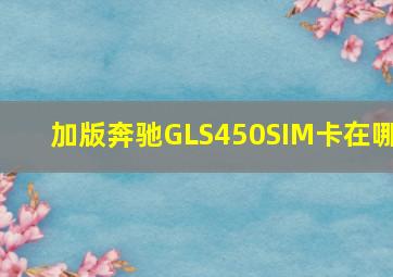 加版奔驰GLS450SIM卡在哪