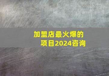 加盟店最火爆的项目2024咨询