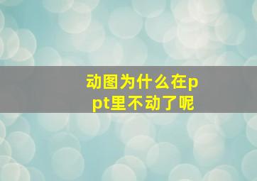 动图为什么在ppt里不动了呢