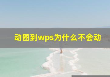 动图到wps为什么不会动