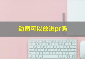 动图可以放进pr吗