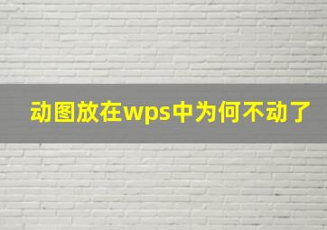 动图放在wps中为何不动了