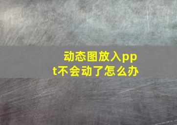 动态图放入ppt不会动了怎么办