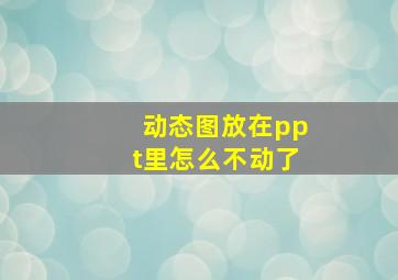 动态图放在ppt里怎么不动了