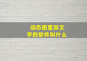 动态图里加文字的软件叫什么