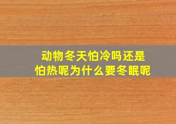 动物冬天怕冷吗还是怕热呢为什么要冬眠呢