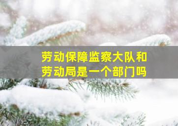 劳动保障监察大队和劳动局是一个部门吗