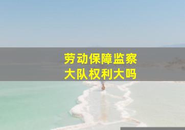 劳动保障监察大队权利大吗