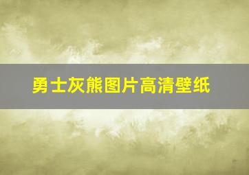 勇士灰熊图片高清壁纸