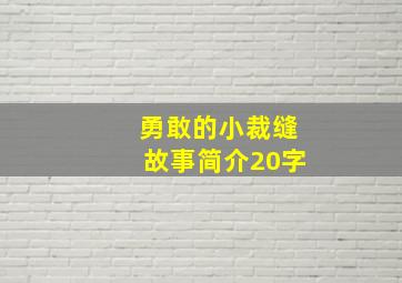 勇敢的小裁缝故事简介20字