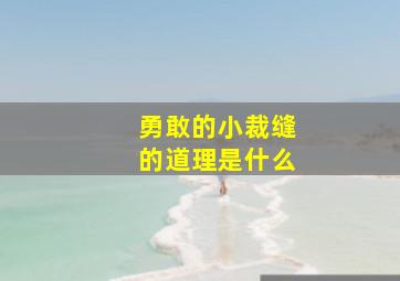 勇敢的小裁缝的道理是什么