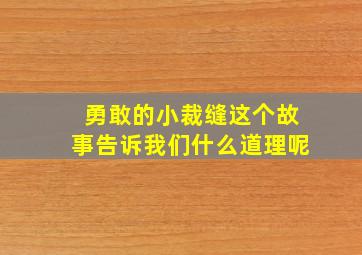 勇敢的小裁缝这个故事告诉我们什么道理呢