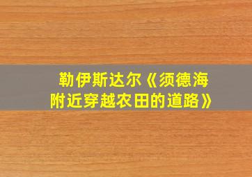 勒伊斯达尔《须德海附近穿越农田的道路》