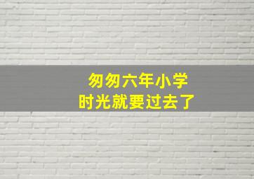 匆匆六年小学时光就要过去了