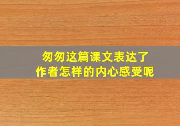 匆匆这篇课文表达了作者怎样的内心感受呢