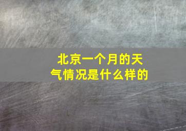 北京一个月的天气情况是什么样的