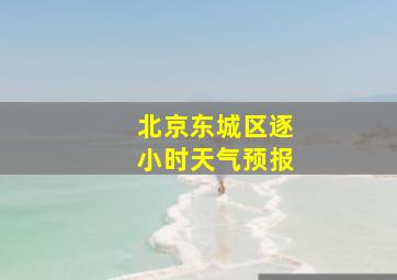 北京东城区逐小时天气预报