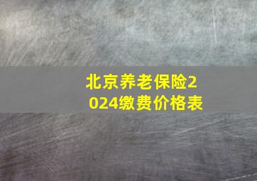 北京养老保险2024缴费价格表