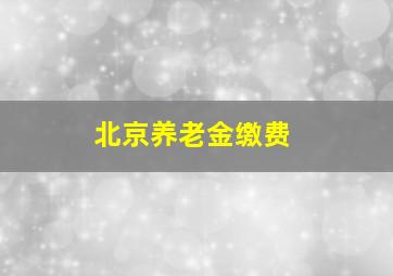 北京养老金缴费