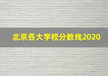 北京各大学校分数线2020