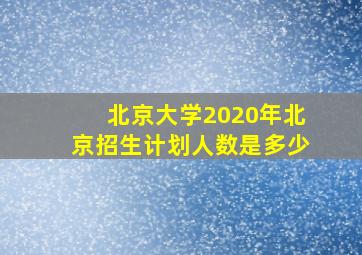 北京大学2020年北京招生计划人数是多少