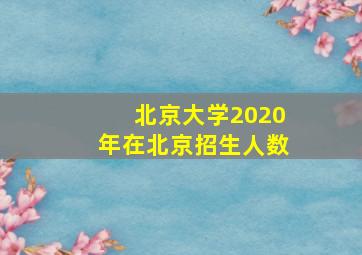 北京大学2020年在北京招生人数