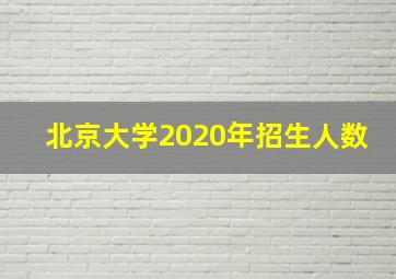 北京大学2020年招生人数