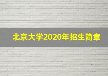 北京大学2020年招生简章