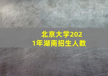 北京大学2021年湖南招生人数