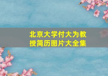 北京大学付大为教授简历图片大全集