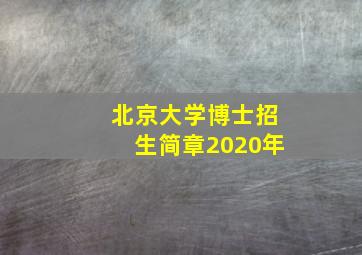 北京大学博士招生简章2020年