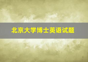 北京大学博士英语试题