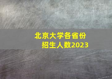 北京大学各省份招生人数2023