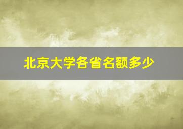 北京大学各省名额多少