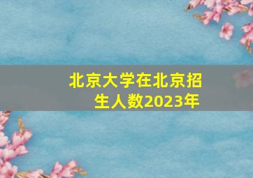 北京大学在北京招生人数2023年