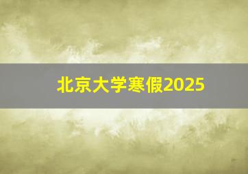 北京大学寒假2025