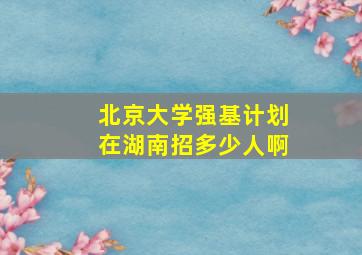 北京大学强基计划在湖南招多少人啊