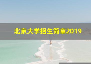 北京大学招生简章2019