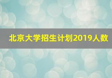 北京大学招生计划2019人数