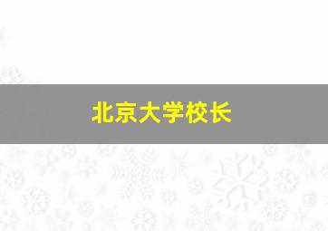 北京大学校长