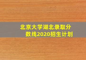 北京大学湖北录取分数线2020招生计划