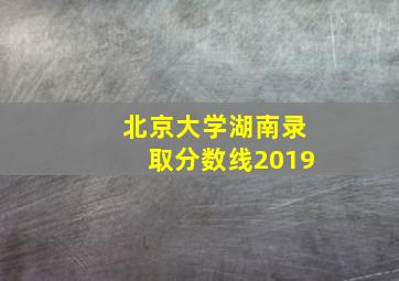 北京大学湖南录取分数线2019