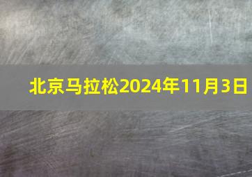 北京马拉松2024年11月3日