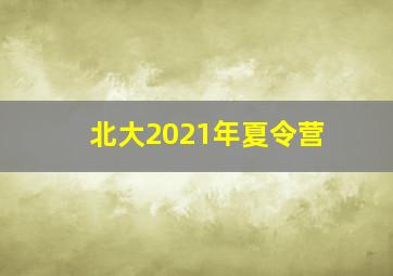 北大2021年夏令营