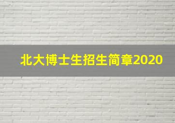 北大博士生招生简章2020